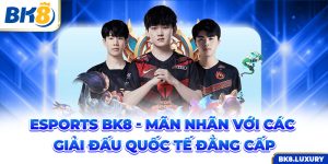 Esports BK8 - Mãn Nhãn Với Các Giải Đấu Quốc Tế Đẳng Cấp