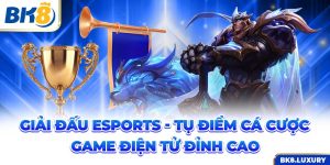 Giải Đấu Esports - Tụ Điểm Cá Cược Game Điện Tử Đỉnh Cao