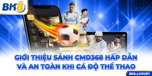 Giới Thiệu Sảnh CMD368 Hấp Dẫn Và An Toàn Khi Cá Độ Thể Thao