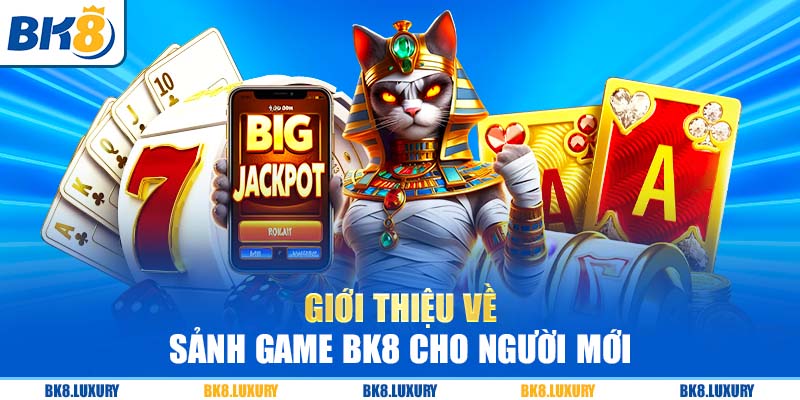 Giới thiệu về sảnh game BK8 cho người mới