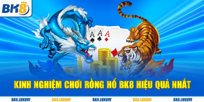 Kinh nghiệm chơi Rồng Hổ BK8 hiệu quả nhất